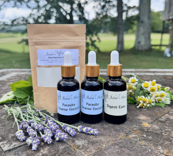 Parasite Cleanse Bundle