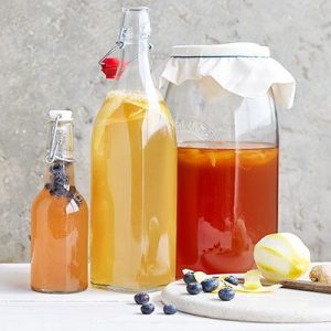 Kombucha Scoby