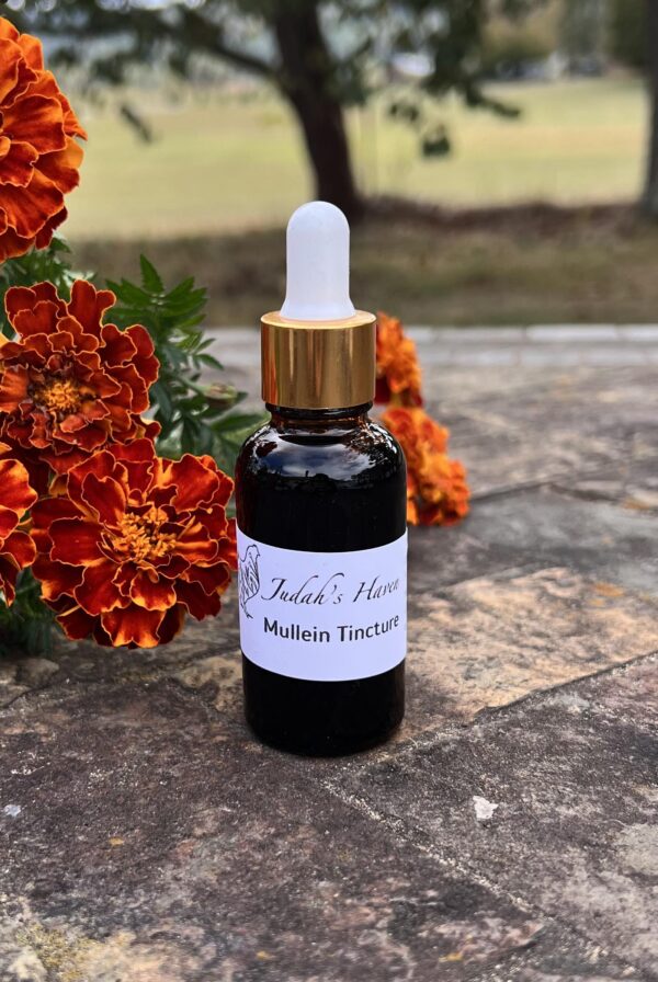 Mullein Tincture