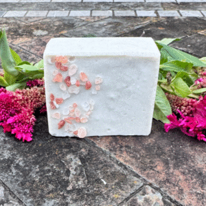 Salt 'n Tallow Soap