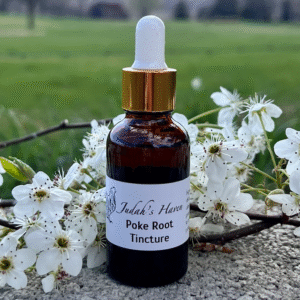 Poke Root Tincture