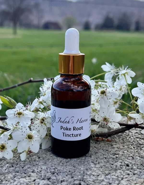 Poke Root Tincture