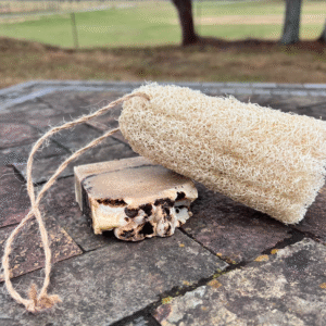 Organic Luffa Sponge