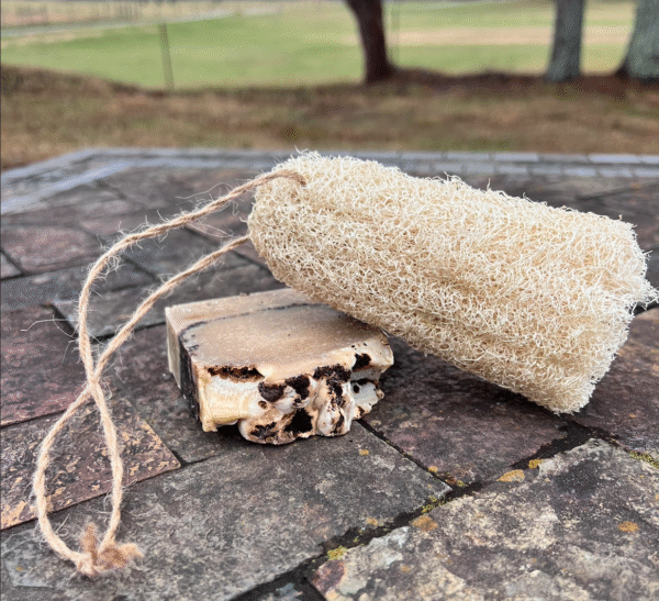 Organic Luffa Sponge