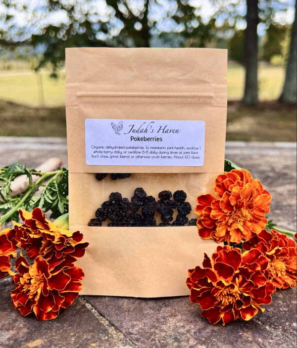 Dehydrated Pokeberry