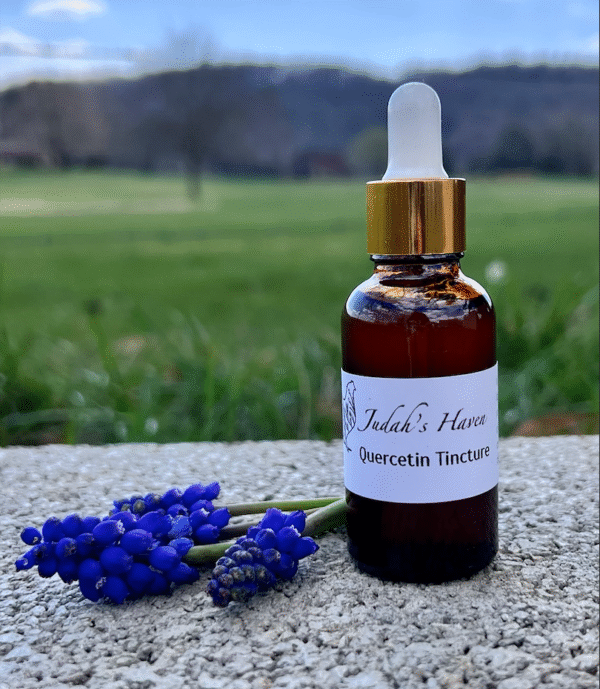 Quercetin Tincture