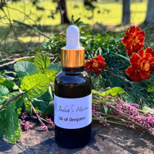 Oil of Oregano