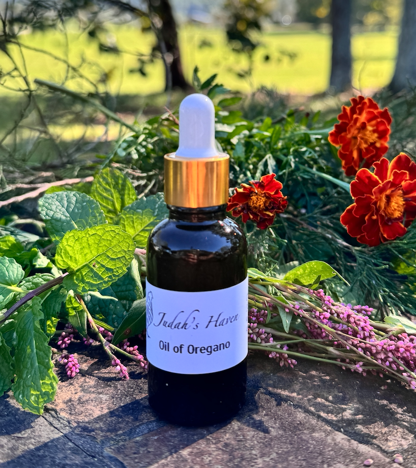 Oil of Oregano