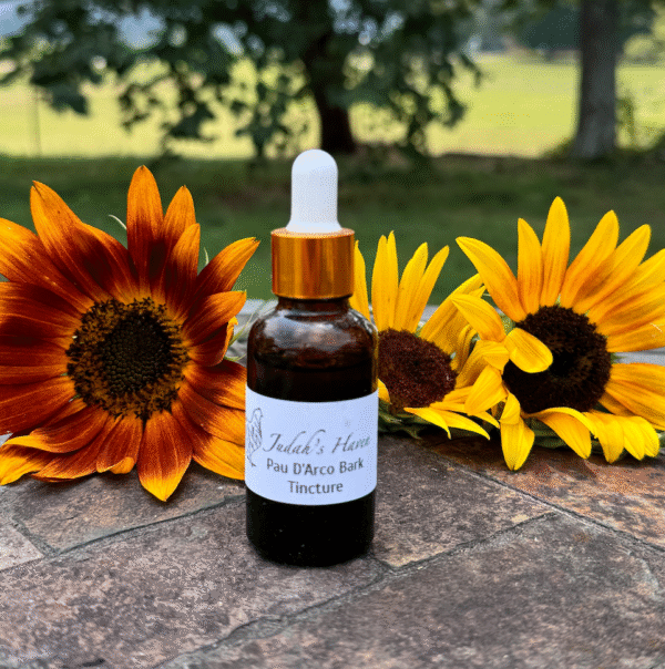 Pau D'Arco Bark Tincture