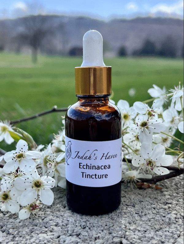 Echinacea Tincture