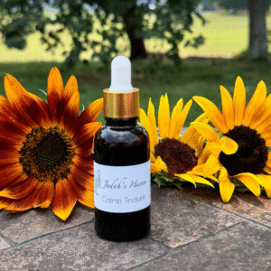 Catnip Tincture