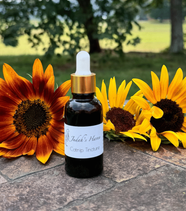 Catnip Tincture