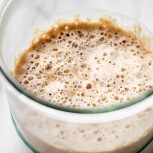 Sourdough Starter