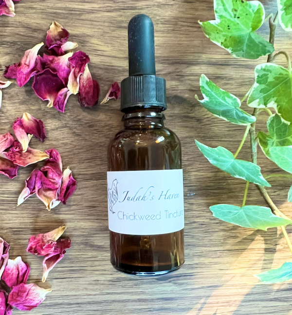 Chickweed Tincture