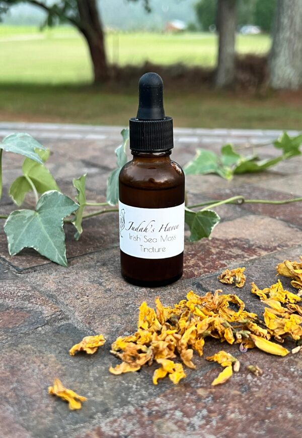 Irish Sea Moss Tincture