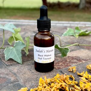 Black Walnut Hull Tincture
