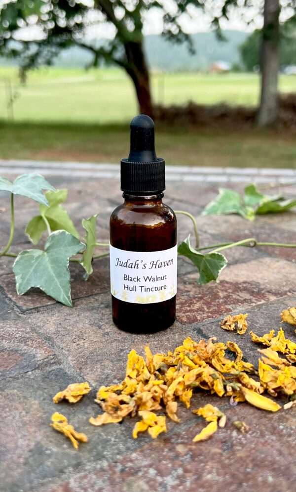 Black Walnut Hull Tincture