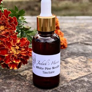 White Pine Needle Tincture