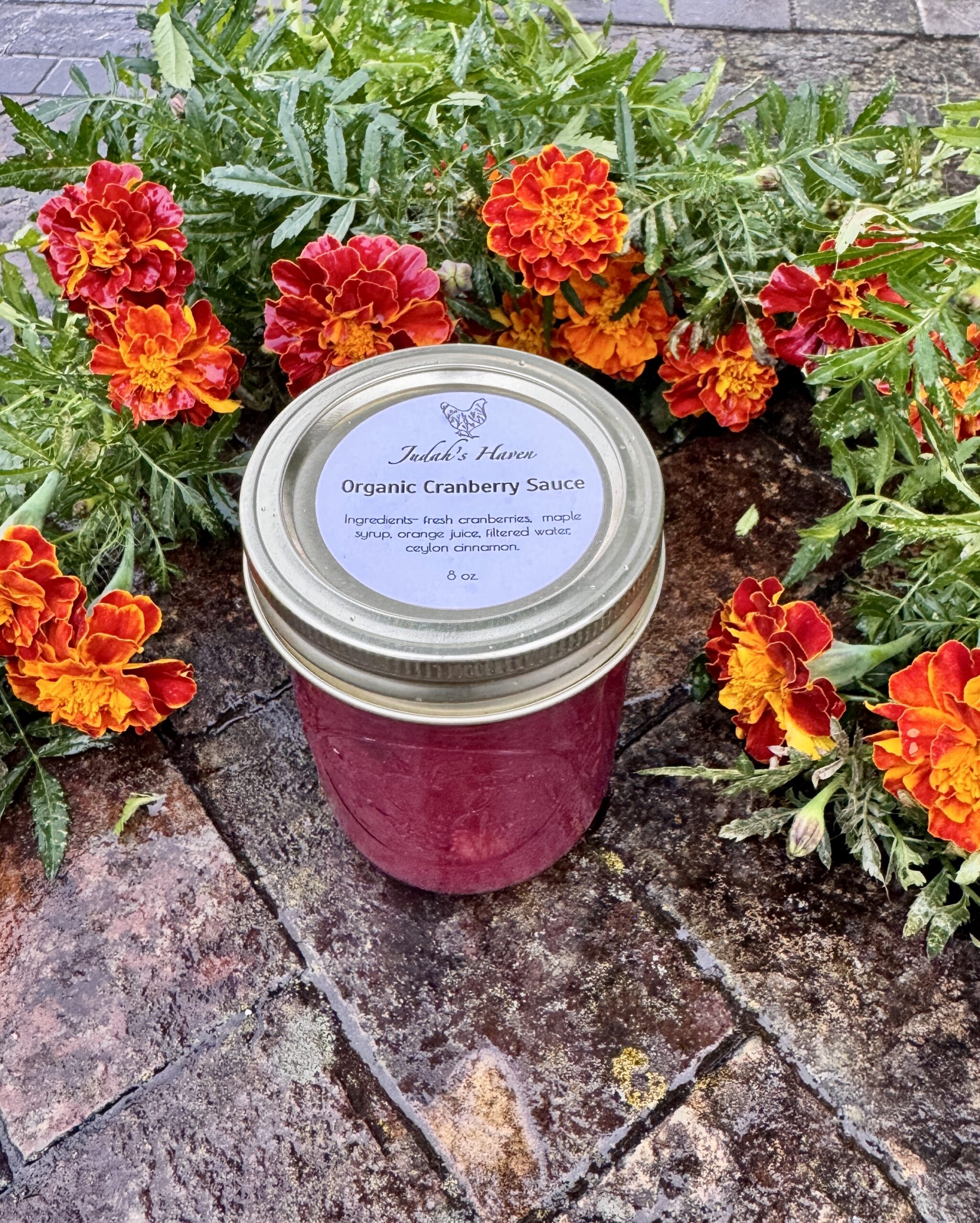 Organic Cranberry Sauce