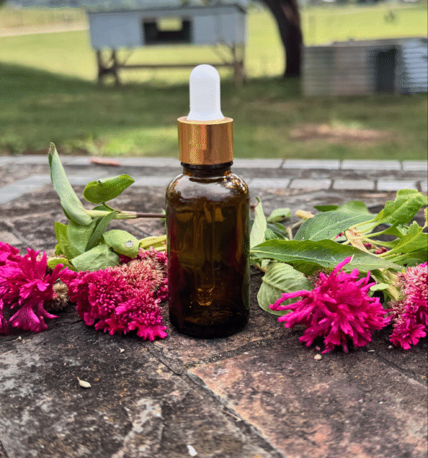 Empty Bottles for tinctures, oils, and roll-ons