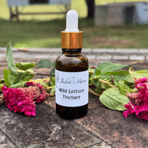 Wild Lettuce Tincture