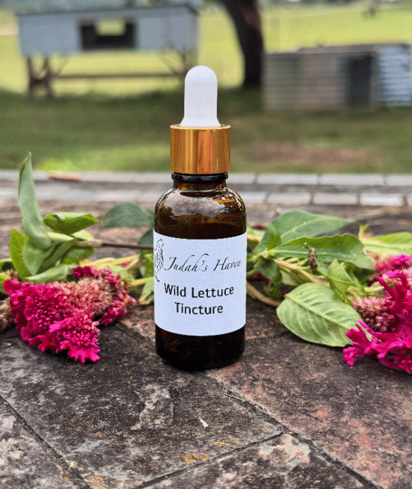 Wild Lettuce Tincture