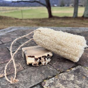 Organic Luffa Sponge