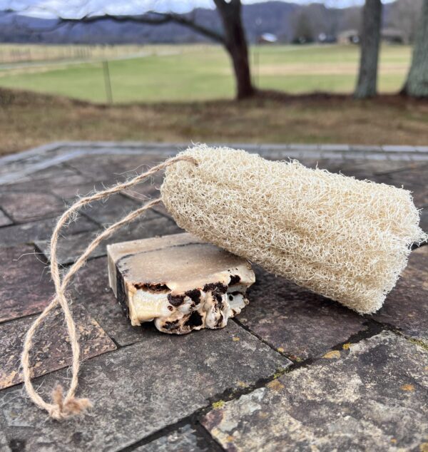Organic Luffa Sponge