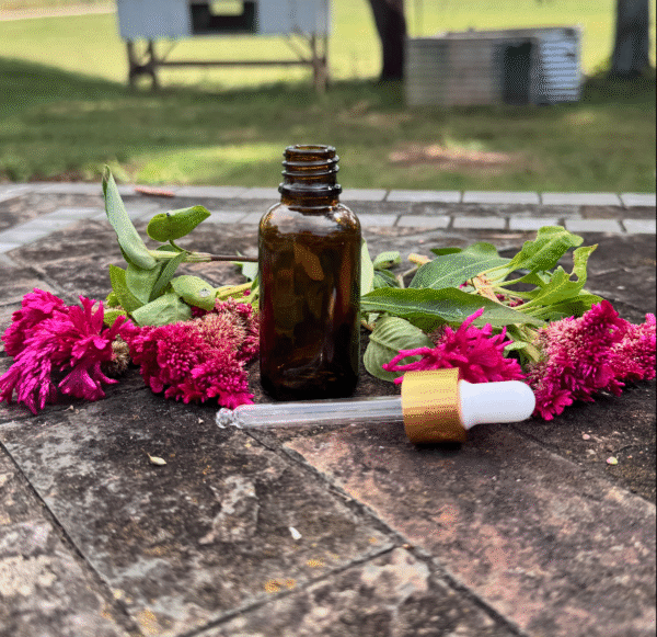 Empty Bottles for tinctures, oils, and roll-ons - Image 2