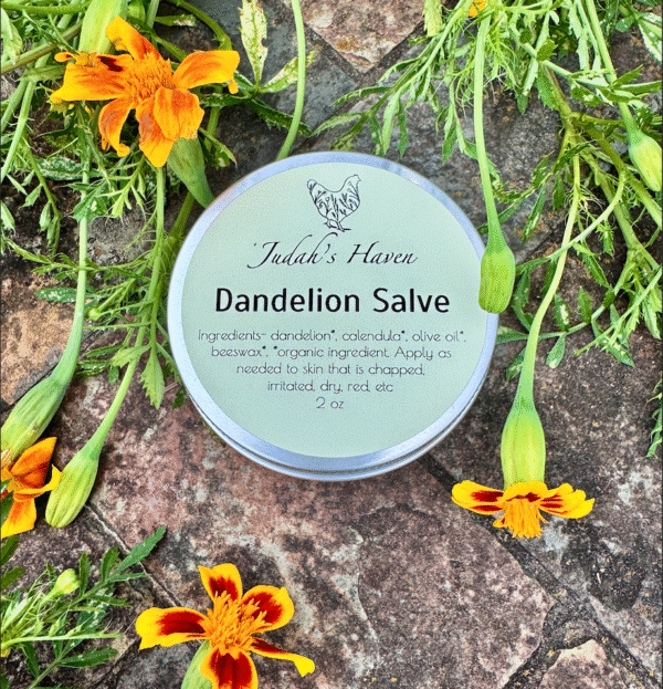 Dandelion Salve