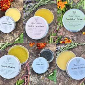 Salve Starter Bundle