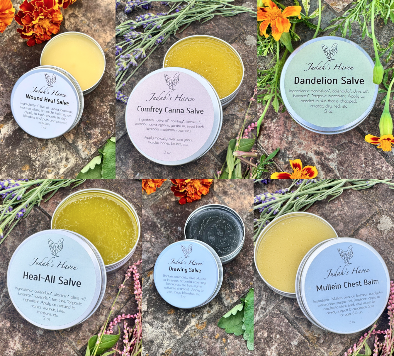 Salve Starter Bundle