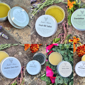 Salve Starter Bundle